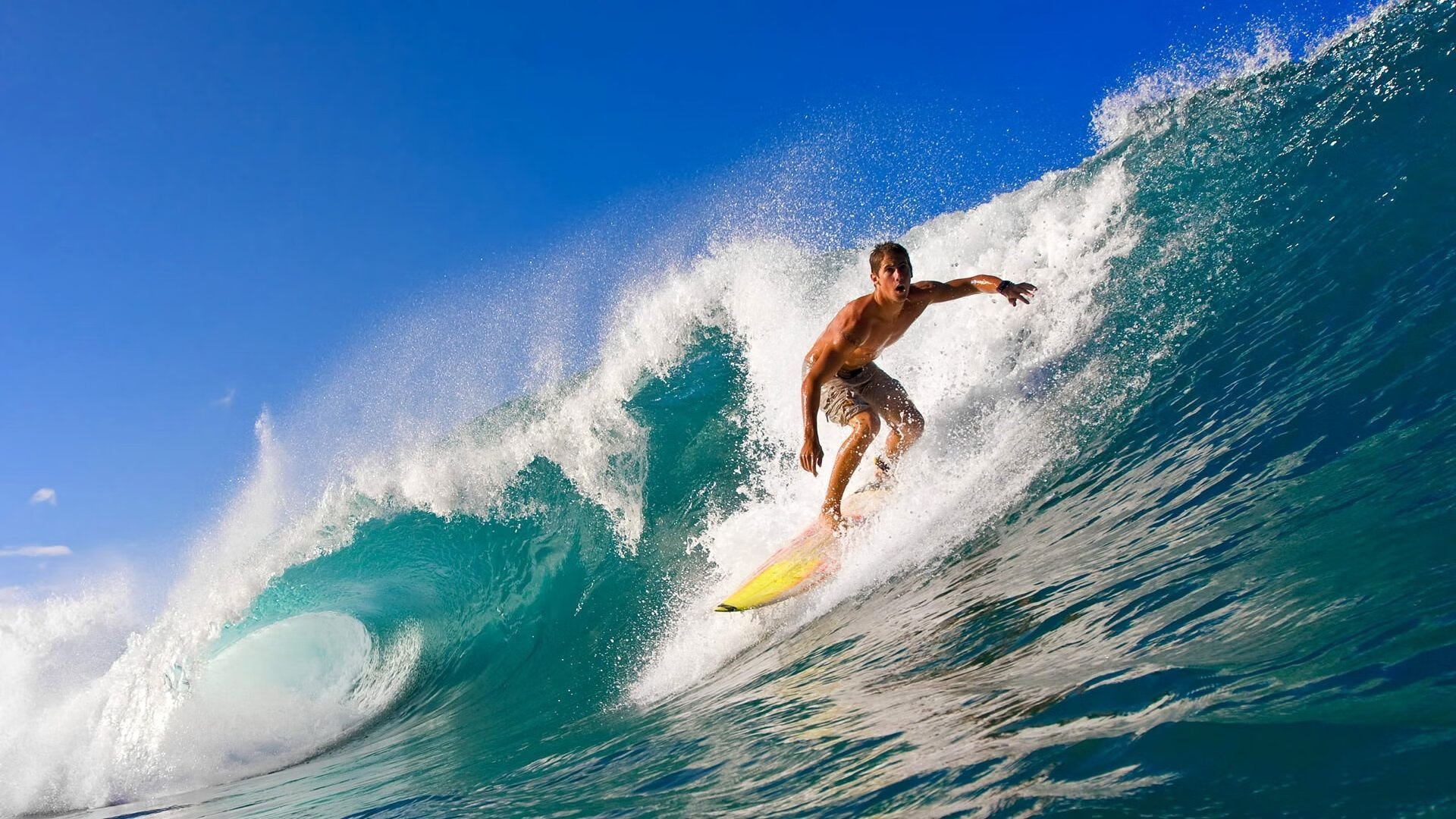 开云平台-波斯铁骑的逆袭,弗拉霍维奇关键一击,伊朗强势晋级委内瑞拉